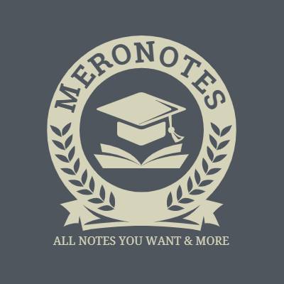 MeroNotes